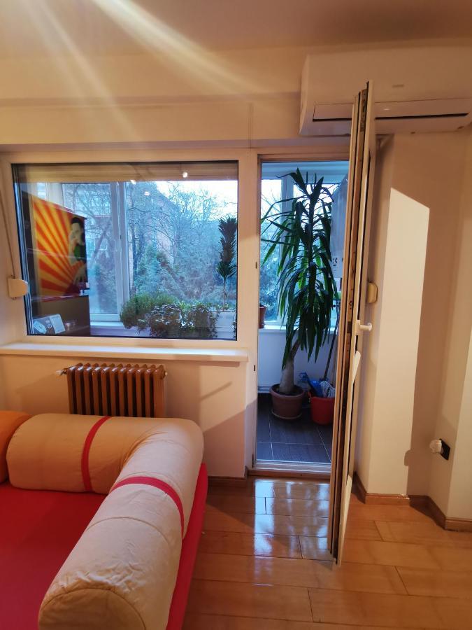 Comfy & Pleasant Apartment 10 Min Walk To Downtown Timisoara Luaran gambar