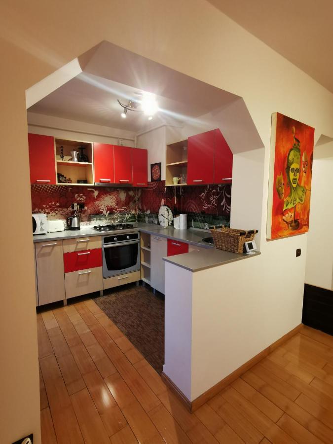 Comfy & Pleasant Apartment 10 Min Walk To Downtown Timisoara Luaran gambar