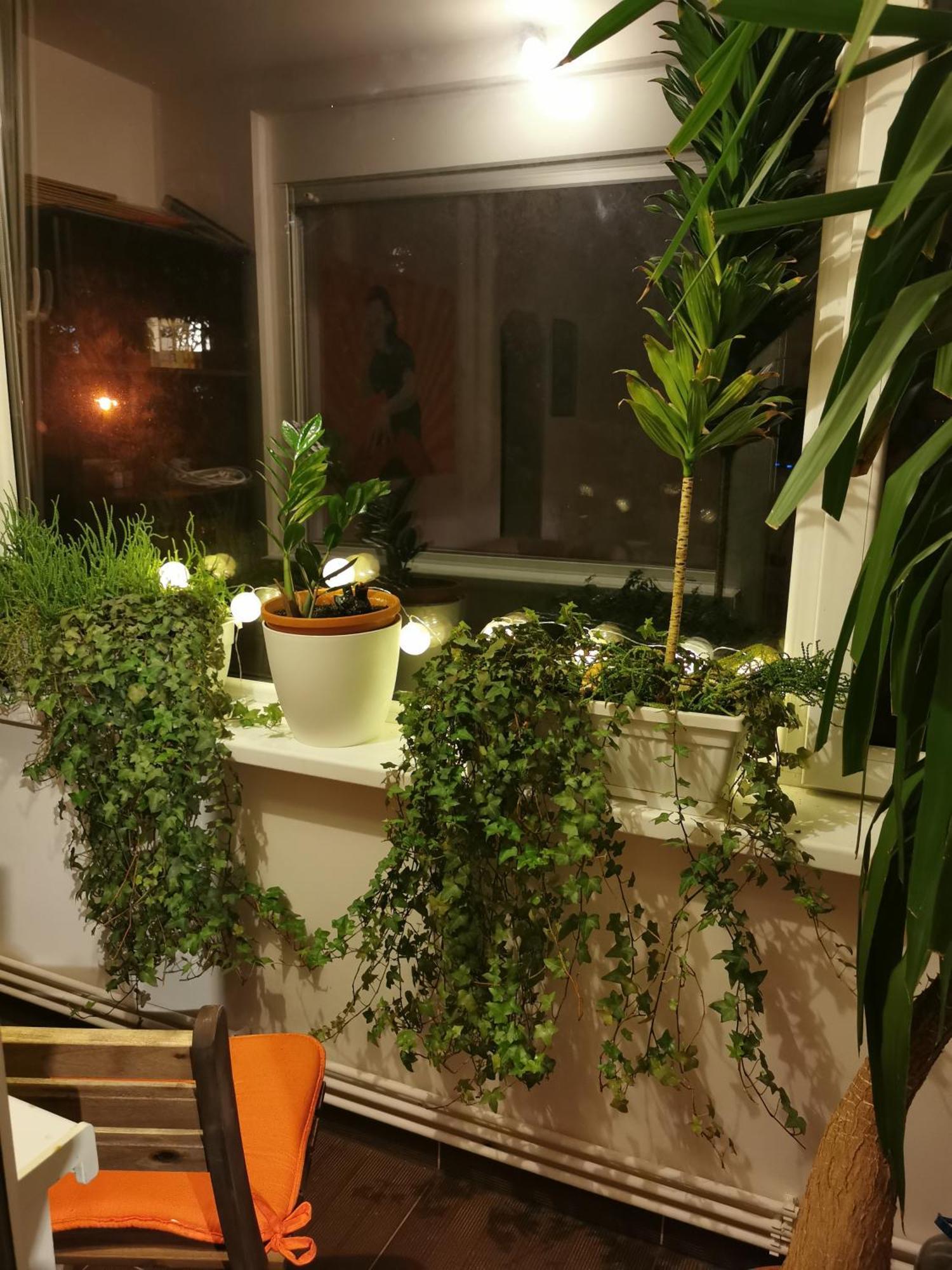 Comfy & Pleasant Apartment 10 Min Walk To Downtown Timisoara Luaran gambar