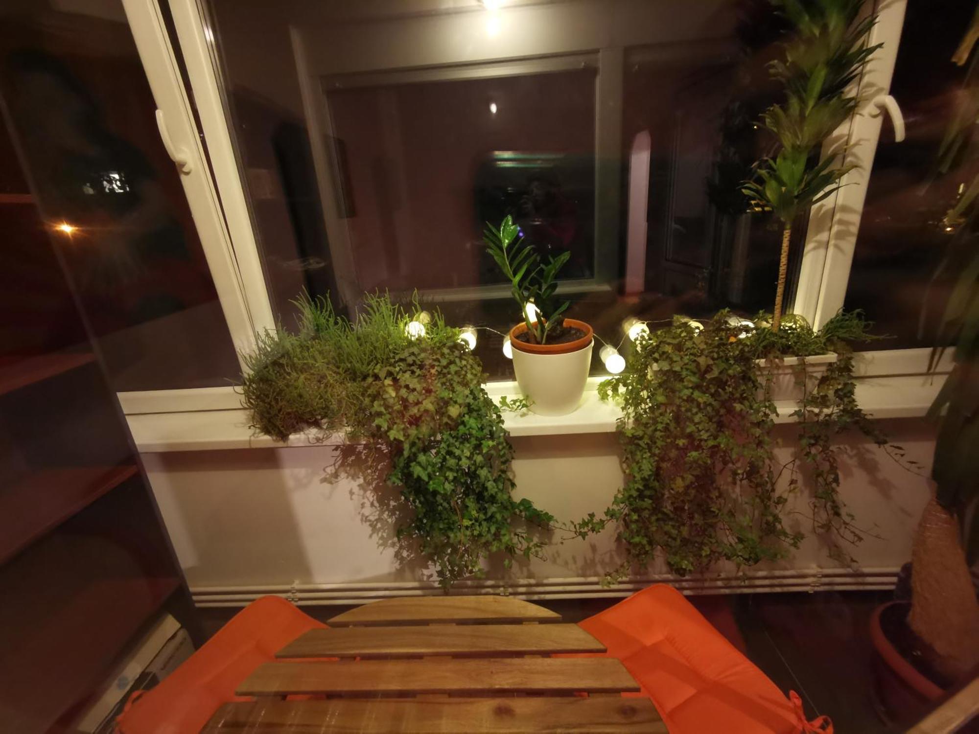 Comfy & Pleasant Apartment 10 Min Walk To Downtown Timisoara Luaran gambar