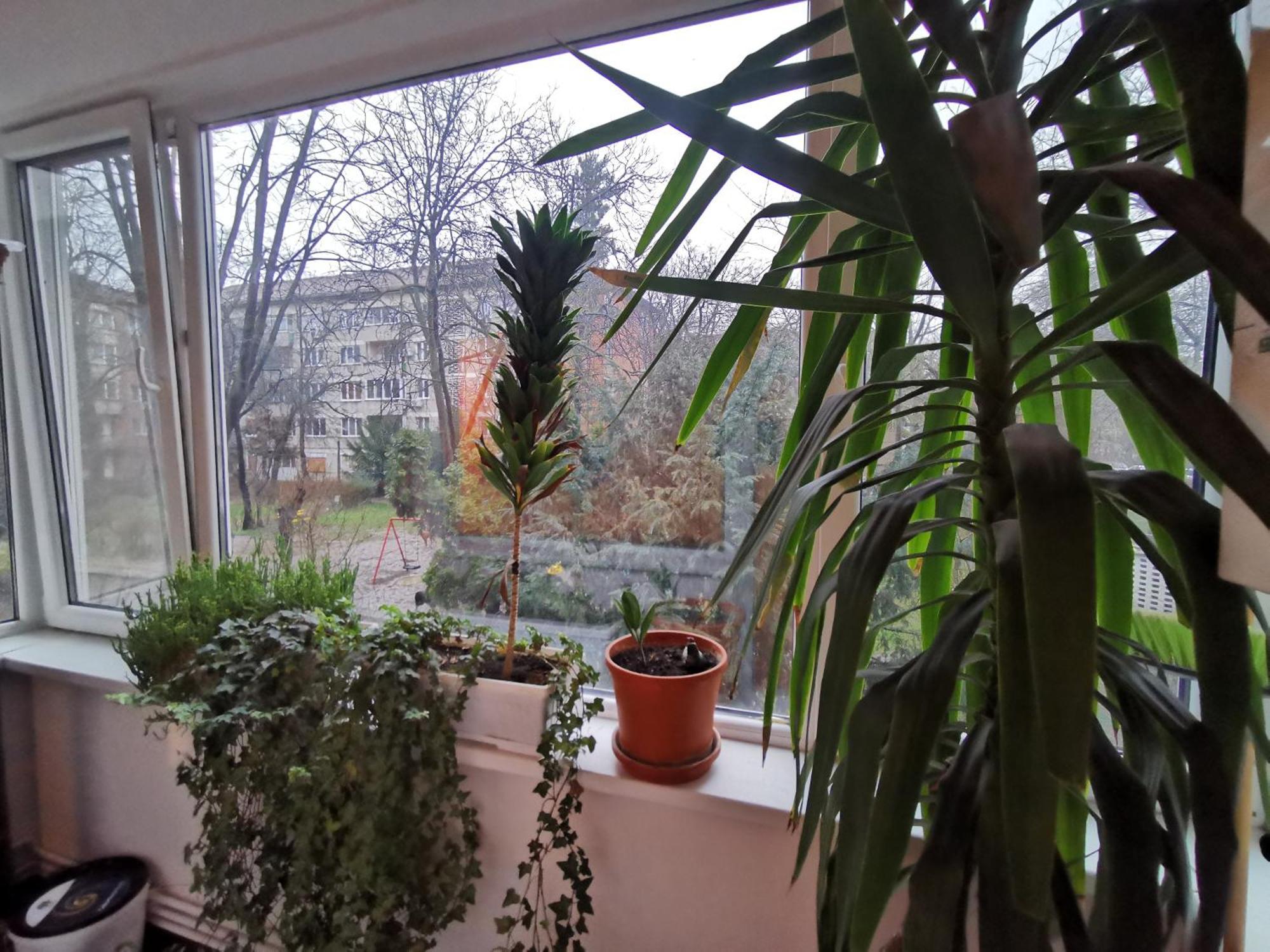 Comfy & Pleasant Apartment 10 Min Walk To Downtown Timisoara Luaran gambar